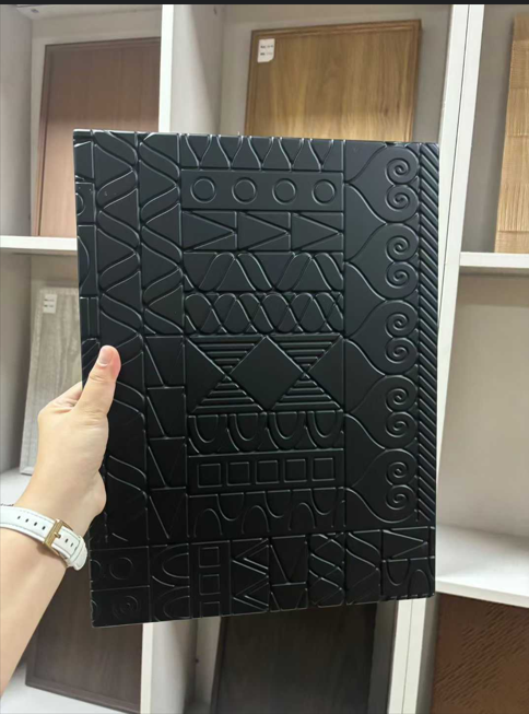 Келечектеги түстөрдүн 3-курулуш конференциясы Ченгду шаарында ийгиликтүү өттү.